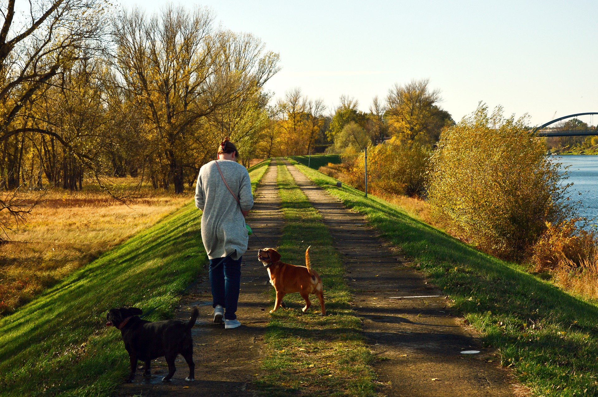 Social Walk