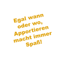 https://www.dogteam-leibnitz.at/wp-content/uploads/2022/07/Apportieren_Sticker-200x200.png