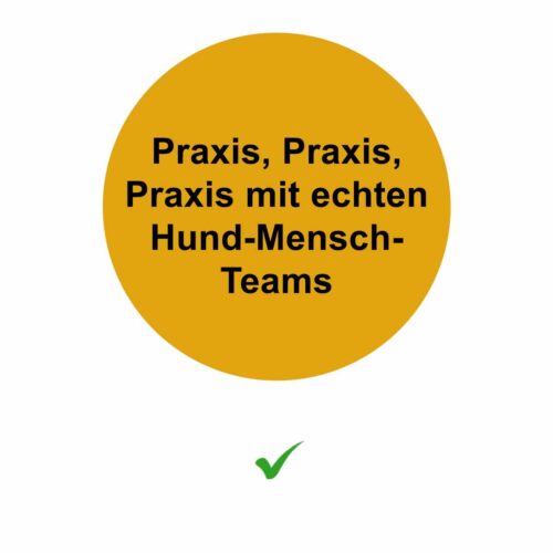 https://www.dogteam-leibnitz.at/wp-content/uploads/2025/10/Praxis-500x500.jpg