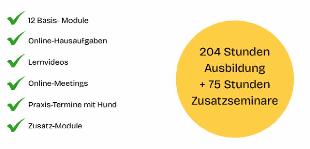 //www.dogteam-leibnitz.at/wp-content/uploads/2025/10/punkte.jpg